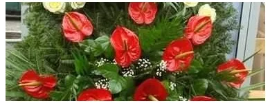 Przedsiębiorstwo 7 wizerunek SPRZEDAŻ KWIATÓW MAŁGORZATA OLSZEWSKA KWIACIARNIA REBEKA Pogrzebowe Usługi w Warszawa MZ