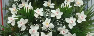 Przedsiębiorstwo 10 wizerunek SPRZEDAŻ KWIATÓW MAŁGORZATA OLSZEWSKA KWIACIARNIA REBEKA Pogrzebowe Usługi w Warszawa MZ