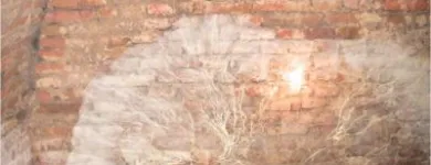 Przedsiębiorstwo 6 wizerunek TECHNOBUD PRZEDSIĘBIORSTWO WIELOBRANŻOWE Pieczarkarnie w Lublin LU