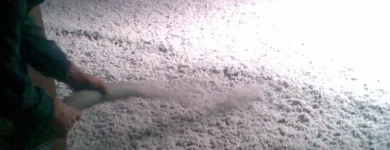 Przedsiębiorstwo 7 wizerunek TERMODACH Kategoria w Wrocław DS