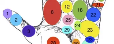 Przedsiębiorstwo 5 wizerunek UZDROWICIEL REFLEKSOLOG MARIUSZ BRYK Ziołolecznictwo w Opole OP