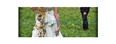 Przedsiębiorstwo 1 wizerunek ZIARNO I PIKSELE Kategoria w Tychy SL