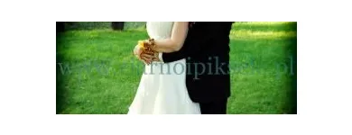 Przedsiębiorstwo 2 wizerunek ZIARNO I PIKSELE Kategoria w Tychy SL