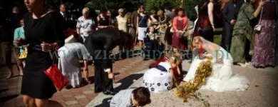 Przedsiębiorstwo 3 wizerunek ZIARNO I PIKSELE Kategoria w Tychy SL