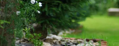 Przedsiębiorstwo 2 wizerunek ZIELONA SFERA KRZYSZTOF KONDRACKI Ogrody, Tereny Zieleni - Projektowanie, Utrzymanie w Wrocław DS