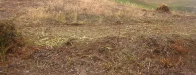 Przedsiębiorstwo 3 wizerunek ZIELONA SFERA KRZYSZTOF KONDRACKI Ogrody, Tereny Zieleni - Projektowanie, Utrzymanie w Wrocław DS