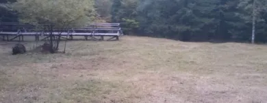 Przedsiębiorstwo 5 wizerunek ZIELONA SFERA KRZYSZTOF KONDRACKI Ogrody, Tereny Zieleni - Projektowanie, Utrzymanie w Wrocław DS