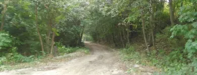 Przedsiębiorstwo 9 wizerunek ZIELONA SFERA KRZYSZTOF KONDRACKI Ogrody, Tereny Zieleni - Projektowanie, Utrzymanie w Wrocław DS