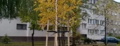 Przedsiębiorstwo 11 wizerunek ZIELONA SFERA KRZYSZTOF KONDRACKI Ogrody, Tereny Zieleni - Projektowanie, Utrzymanie w Wrocław DS