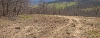 Przedsiębiorstwo 12 wizerunek ZIELONA SFERA KRZYSZTOF KONDRACKI Ogrody, Tereny Zieleni - Projektowanie, Utrzymanie w Wrocław DS