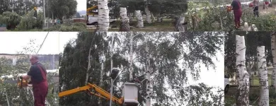 Przedsiębiorstwo 18 wizerunek ZIELONA SFERA KRZYSZTOF KONDRACKI Ogrody, Tereny Zieleni - Projektowanie, Utrzymanie w Wrocław DS