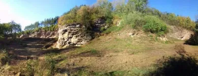 Przedsiębiorstwo 20 wizerunek ZIELONA SFERA KRZYSZTOF KONDRACKI Ogrody, Tereny Zieleni - Projektowanie, Utrzymanie w Wrocław DS