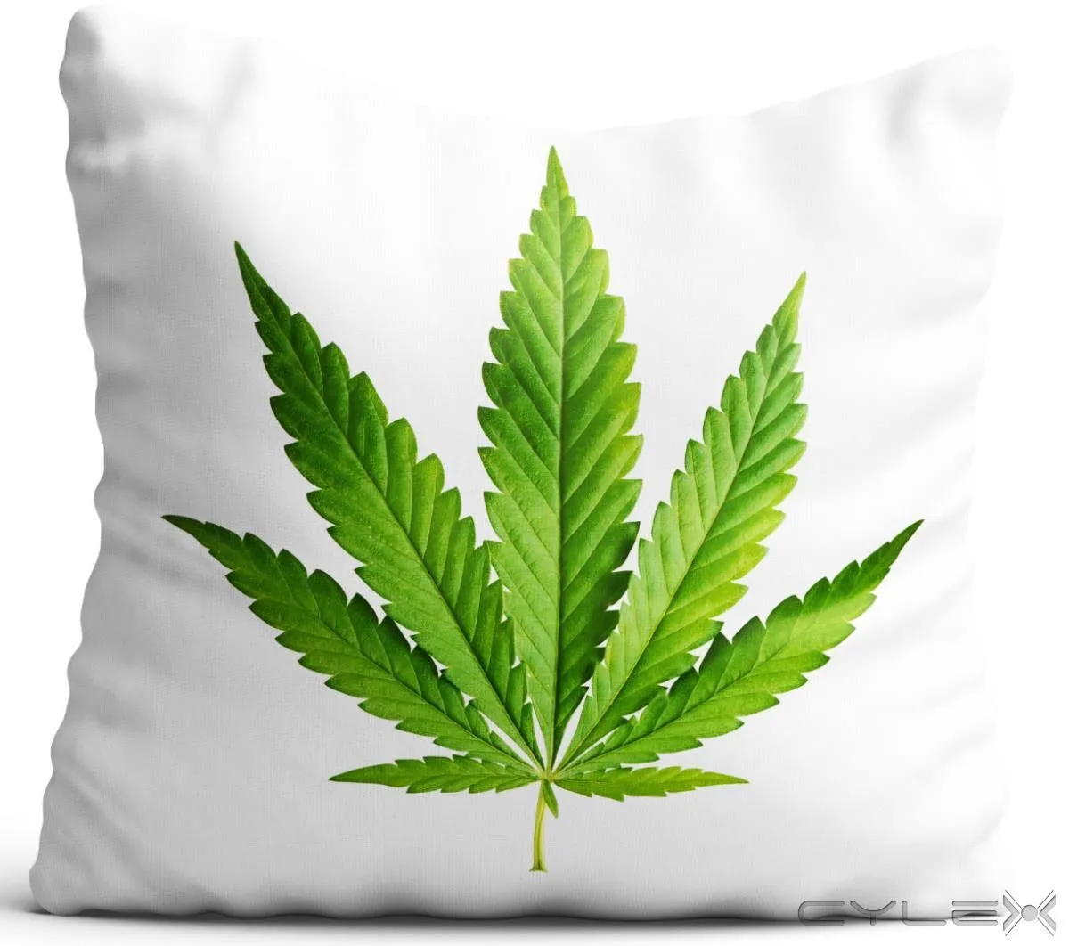 Przedsiębiorstwo 14 wizerunek KING OF THE BONGO