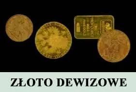 Przedsiębiorstwo 5 wizerunek BAKSY SP. Z O.O. SP.K.