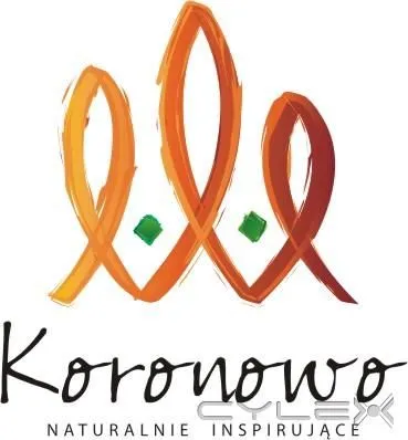 Przedsiębiorstwo 5 wizerunek SMYCZE REKLAMOWE - ALE!REKLAMA