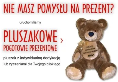 Przedsiębiorstwo 1 wizerunek GONZO S.C. ZPHU
