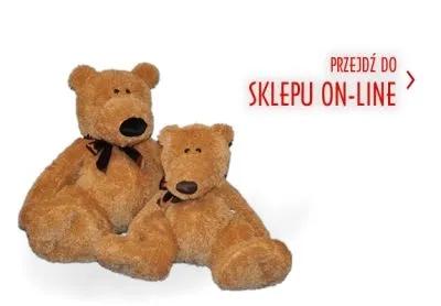 Przedsiębiorstwo 4 wizerunek GONZO S.C. ZPHU