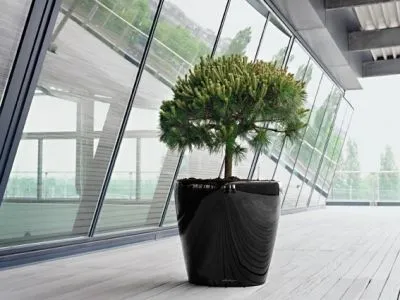 Przedsiębiorstwo 4 wizerunek BOTANICO