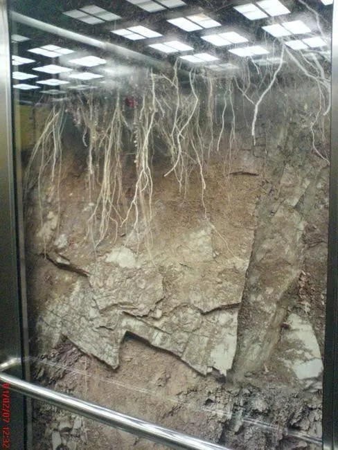 Przedsiębiorstwo 15 wizerunek SPEL-REM - WINDY WROCŁAW - KONSERWACJA WIND WROCŁAW