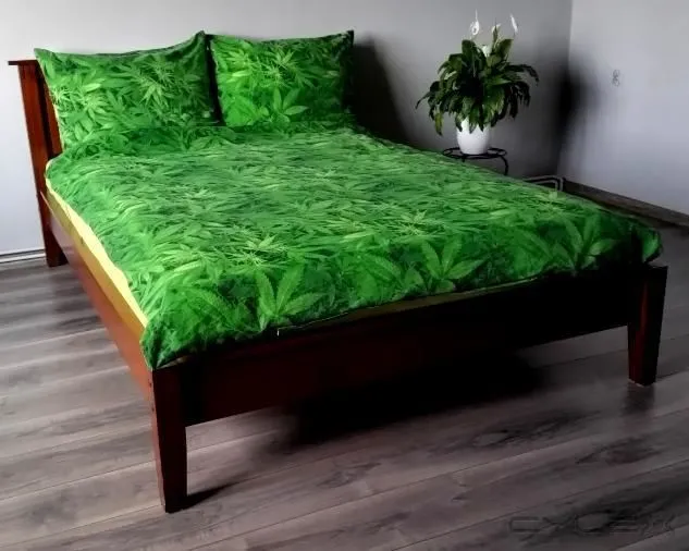 Przedsiębiorstwo 19 wizerunek KING OF THE BONGO