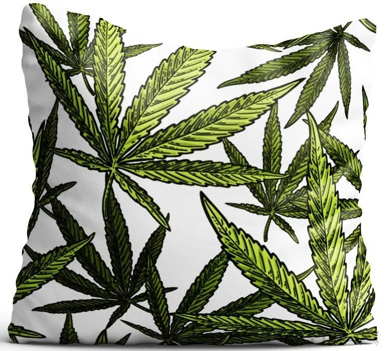 Przedsiębiorstwo 15 wizerunek KING OF THE BONGO