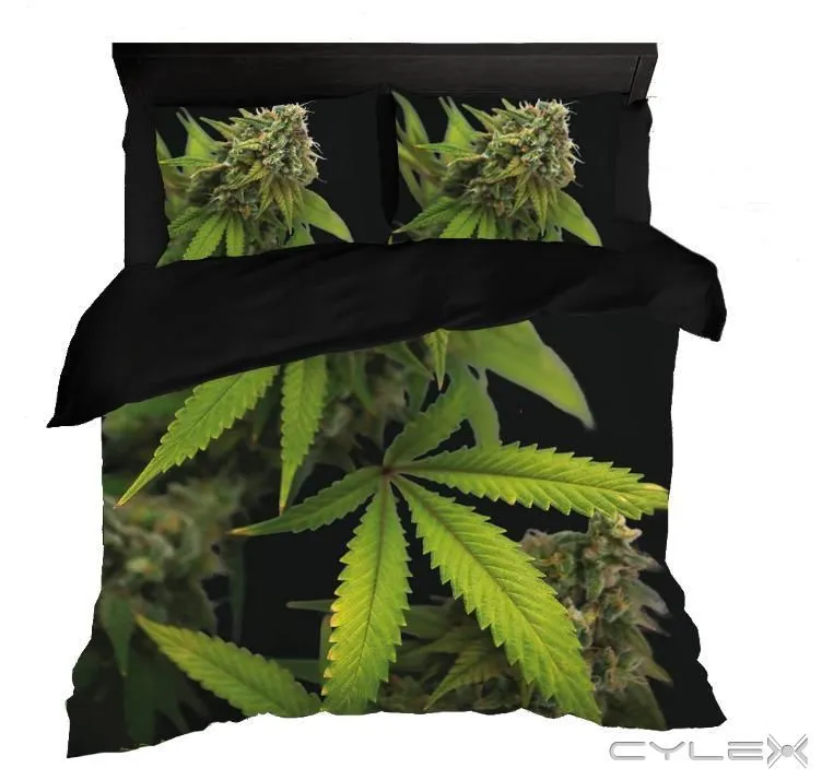 Przedsiębiorstwo 17 wizerunek KING OF THE BONGO