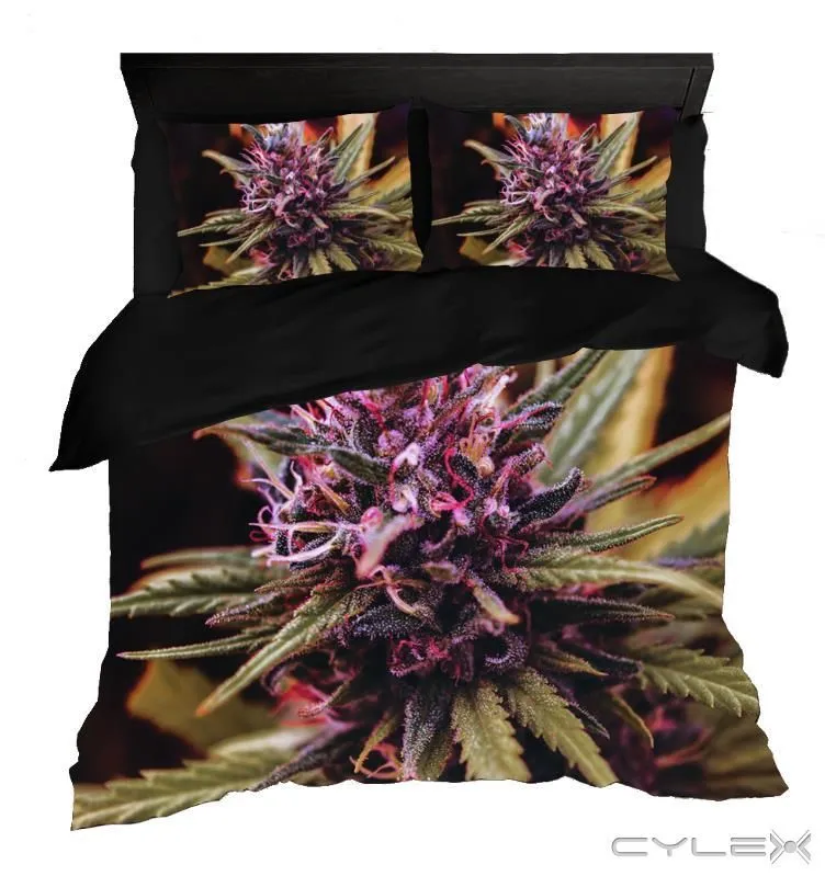 Przedsiębiorstwo 18 wizerunek KING OF THE BONGO