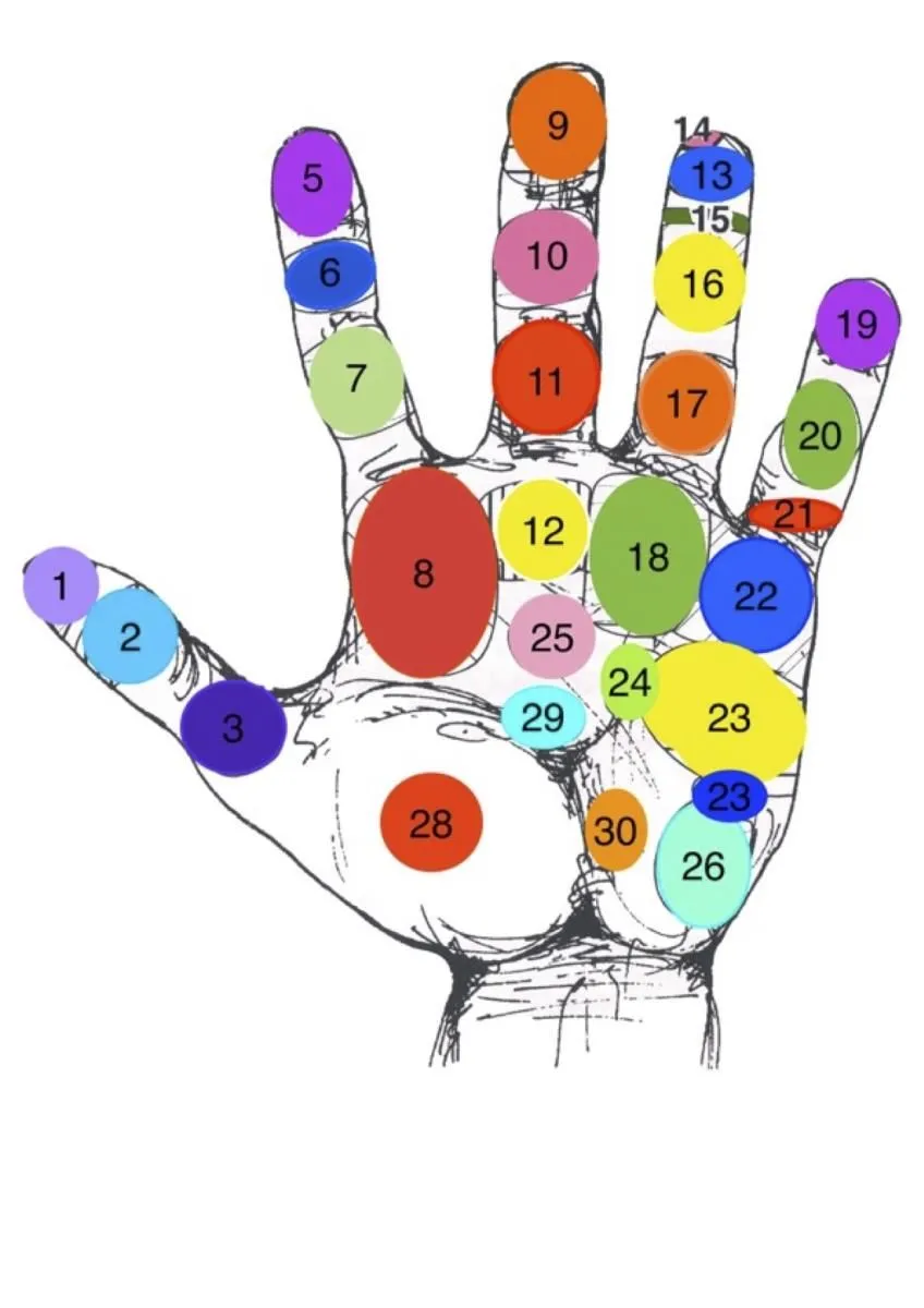 Przedsiębiorstwo 5 wizerunek UZDROWICIEL REFLEKSOLOG MARIUSZ BRYK