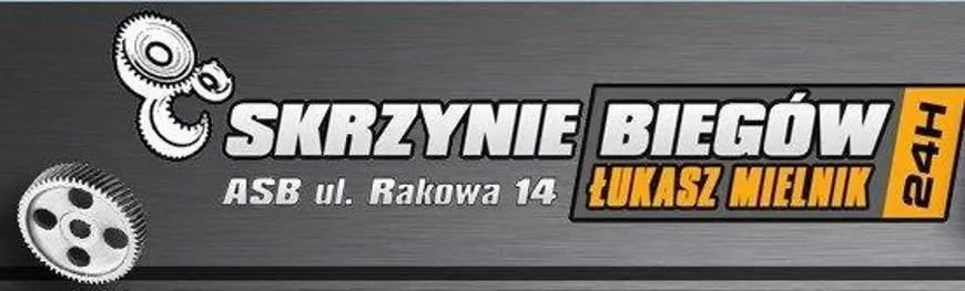 Przedsiębiorstwo 1 wizerunek AUTO-MECHANIKA ŁUKASZ MIELNIK