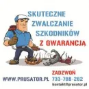 PRUSATOR = SKUTECZNA DEZYNSEKCJA, DEZYNFEKCJA, DERATYZACJA I ODPLUSKWIANIE, ZWALCZANIE PLUSKWY Kategoria w Warszawa MZ