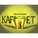 FHU KAFMET Kominki, Piece w Kielce SK
