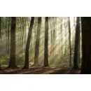 GRUPA TERAPEUTYCZNA ILUMINACJA Psychoterapia w Wrocław DS