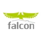 FALCON - UBEZPIECZENIA, NIERUCHOMOŚCI, KREDYTY
