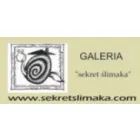 SEKRET ŚLIMAKA. GALERIA
