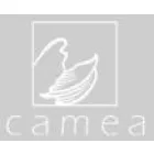 INSTYTUT CAMEA